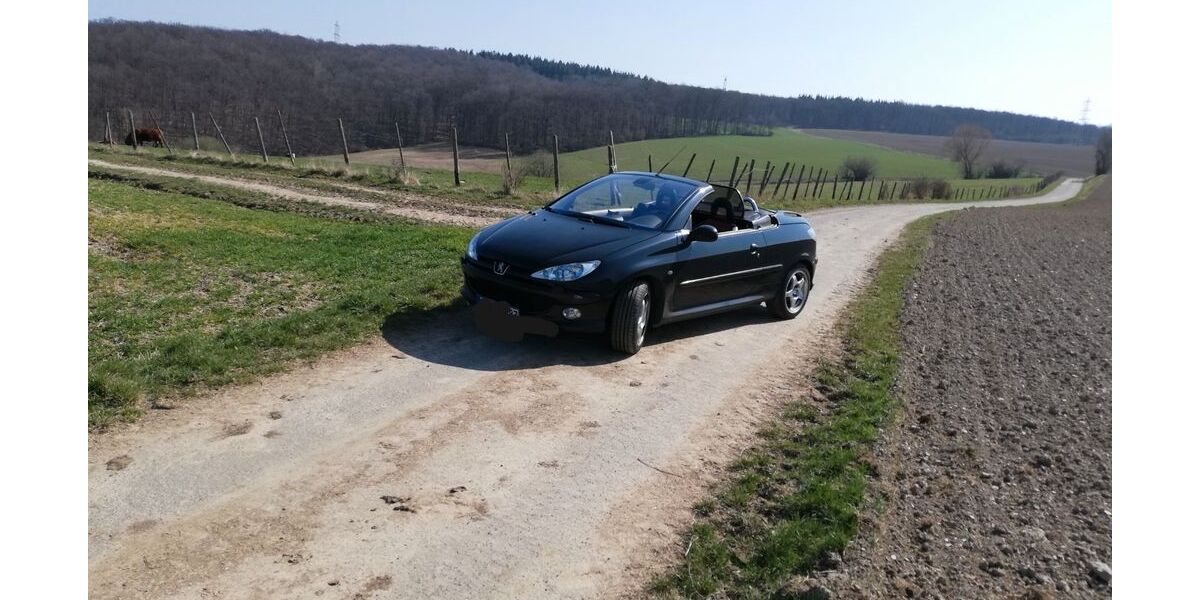 Peugeot 206 215.325 km 2.000 &euro; Winnweiler 67722